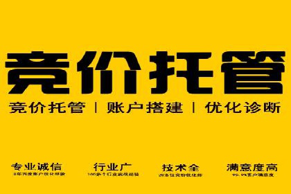 抖音信息流广告的ROI提升方法及成功案例